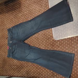 Ag the legend jeans size 31